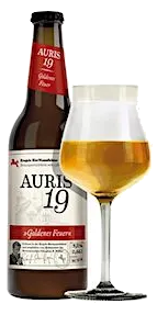 AURIS 19